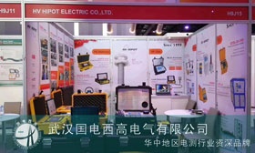 疫情阻止不了國電西高站上國際舞臺