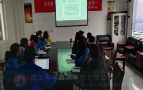 國(guó)電西高受邀為湖北照章電力提供調(diào)試服務(wù)