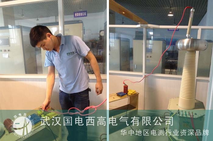 揚中質(zhì)檢所邀國電西高調(diào)試設備